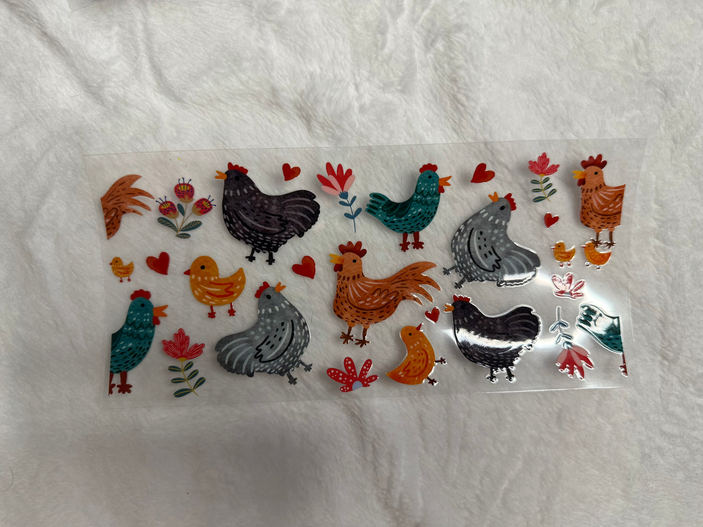 Animals