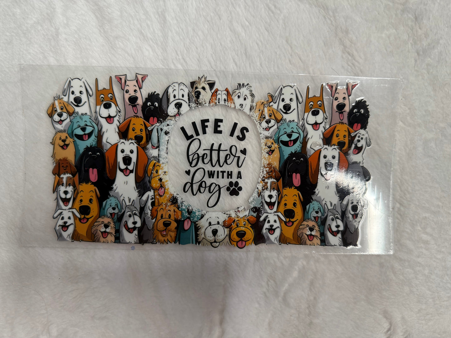 Animals