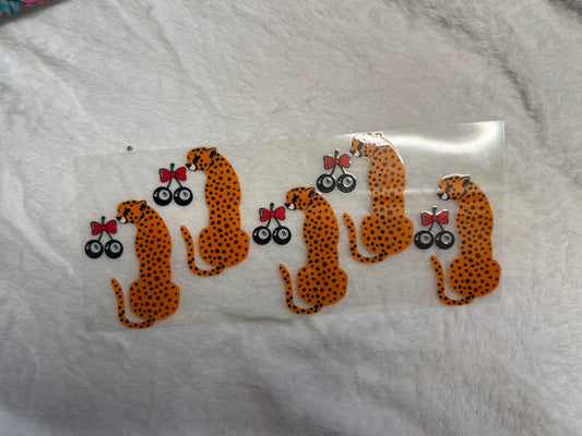Cheetah